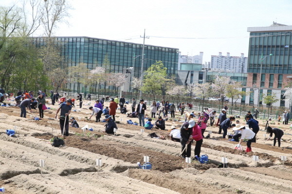 도봉구, 친환경 나눔텃밭 분양’ 신청받아