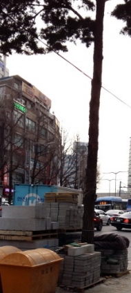 영등포구, 가로수 입양해 잡초제거, 물주기 등 가로수 관리모집