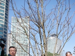 용산구, 미군8군과함께 나무심기 행사