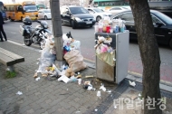 여의도 벚꽃구경도 좋지만‘ 마구버린 쓰레기들’
