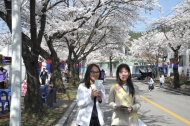 벚꽃과온천의 만남! ”제32회 수안보 온천제"