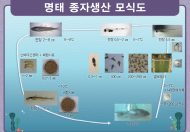 여름방학 마무리, 동해수산연구소 체험학교 운영