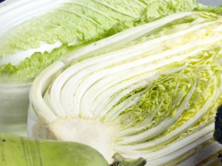 김장 채소 잔류농약, 중금속 등 안전점검