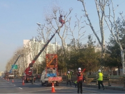 영등포구, 새봄맞이 가로수는 정비 중