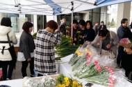 농식품부·aT, “ 오는 11일, 청계광장에 꽃 직거래 환경장터오픈