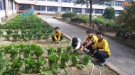 서울시, 버려지는 빗물 활용 텃밭 가꾼다