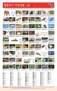 멸종위기 야생생물 246→267종으로 확정