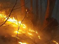 ‘건조한 날씨에 아차하면 큰 산불’