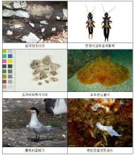 우리나라 자생생물 총 4만9027종…20여년 만에 2배↑