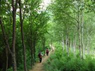 산림청, 쾌적하고 안전한 산행 위해 숲길 인프라 확대