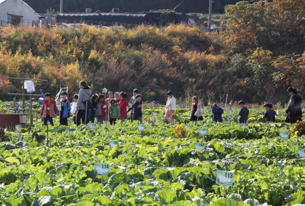 관악구, 도심 속 텃밭 친환경 농부 모집