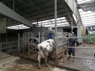 “이달 24일까지 수도권 무허가축사 배출시설허가 신청서 제출해야”