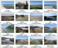 어류 생태계 건강성 우수한 하구 ‘절반 이하’