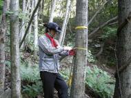 산림청, 여의도 515배 면적 산림소생물권 조사 실시
