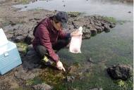 제주 성산서 미기록종 17종 등 열대성 돌말류 30종 확인