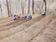 산림청, 유한킴벌리 등 민간과 공동산림사업 추진