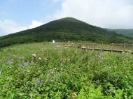 산림청, 5월의 국유림 명품숲에 ‘인제 곰배령’ 선정