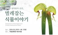 달링토니아·사라세니아 등 세계 희귀 식충식물 ‘한눈에’