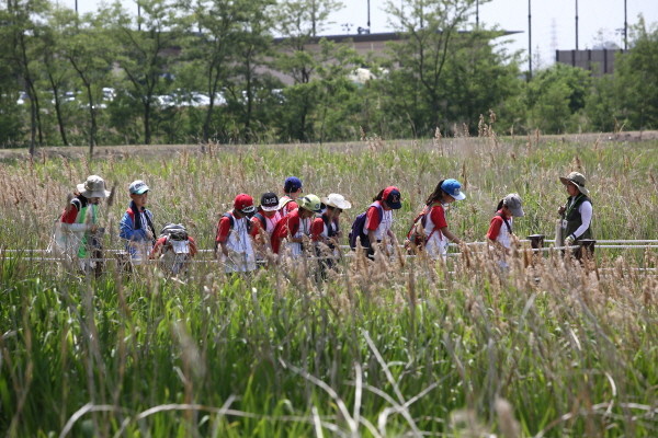 코카 &#8211;콜라 ,어린이그린리더십 과정  4 차 모집