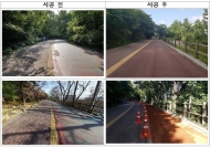 자연친화적인 산책로 정비, 남산공원 북측순환로 전면 개방