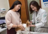 건국대학교, ‘KU반려동물 문화의 거리’ 조성