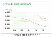 aT, 대파의 효능·조리법 등 건강안내로 소비활성화