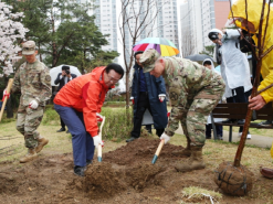 용산구, 나무 심기·나눠주기 행사