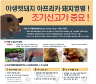 환경부, 아프리카돼지열병 선제적 대응…남은음식물 관리 철저