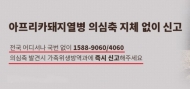 경기 파주, 아프리카돼지열병 네 번째 확진 방역 ‘비상’