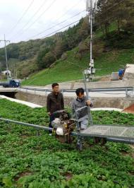 [포토]농촌진흥청장, 경북 울릉 영농현장 방문