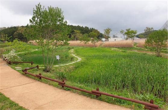 바람길(수생식물원)