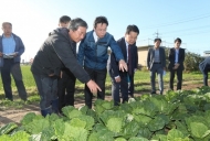 [포토]이재욱 농식품부 차관, 부안군 가을배추 주산지 방문