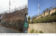 그린 마포구 공기청정숲 조성 500만 그루 출발