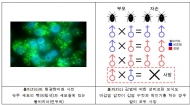 국립생태원, 성비교란 미생물에 감염된 딱정벌레 연구로 친환경 해충 방제 활용 추진