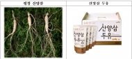 서울시-전국노동평등노동조합 조합원... 코로나19 의료기관에 식품 기부