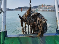 해양환경공단, 부산 연안 주변해역 해양폐기물 정화사업 착수