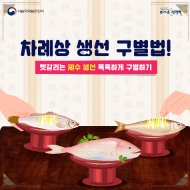 차례상 올릴 생선 속지 말고 사세요! ‘똑똑한 생선 구별법’