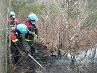 T산림청,토요일 전국 4건 산불 발생...산림당국 진화완료