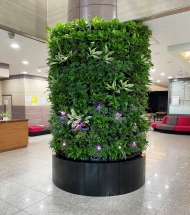 은평구, 미세먼지 저감 위한‘식물공기정화 환경시스템’설치