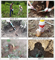 아름답고 건강한 숲...쾌적한 국토 경관 조성!