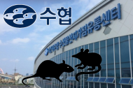 수협 산지위판장 절반 위생불량... 생쥐 등에 무방비 노출