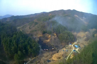 건조한 날씨에 전국적 산불 5건 발생... 산불로 환경파괴