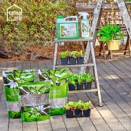 아성다이소, 나만의 4월정원…  친환경가꾸는 봄! ‘