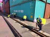 붉은불개미’인천항에서 발견, 긴급환경방제 실시