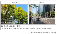 김형재 시의원, 가로수 관리를 통해 서울 시내 밤거리 빛나다