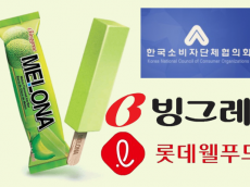 메로나·월드콘 전년 대비 10% 인상…소비자 우롱하는 빙그레, 롯데웰푸드