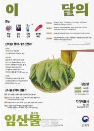 산림청, 입 안에서 퍼지는 알싸함 ! ‘산마늘’ 드세요!