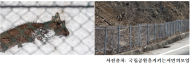 이기헌 의원, 천연기념물 산양 6개월만에 1,022마리 떼죽음