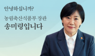 경기 안성 젖소농장 럼피스킨 발생