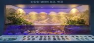 환경부, 한강 물환경·생태 체험하러 오세요